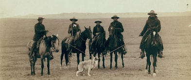 Five historical cowboys rope a wolf in Round up, Wyoming.