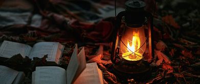 lantern with books in the forest