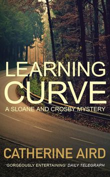 Cover of "Learning Curve"