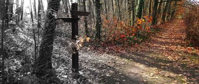 a crossroads in the wood