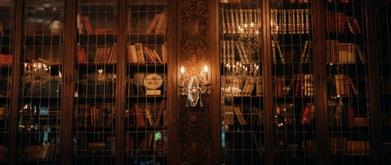 Bookshelves in dark library and light fixture