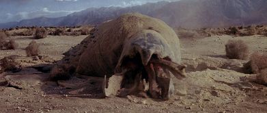 A giant worm-like creature sprawled out in the desert sand.