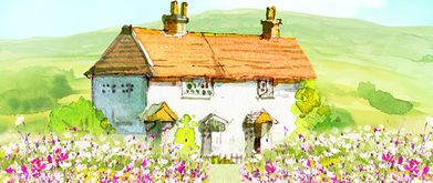 a cottage full of secrets, a cottagecore book