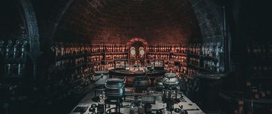 Potions taken by Liam Siegel